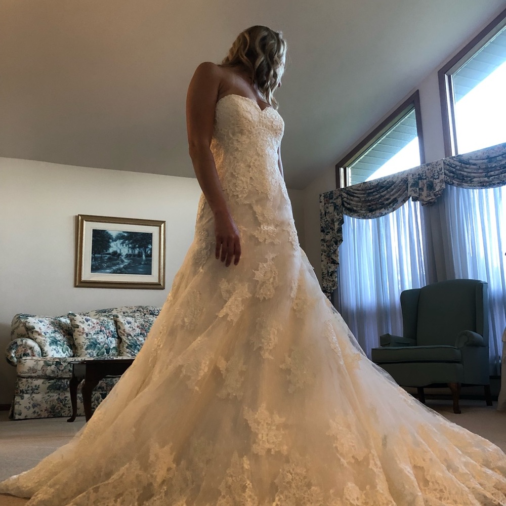 Rosa Clara Wedding Dress - Picture 5 of 5
